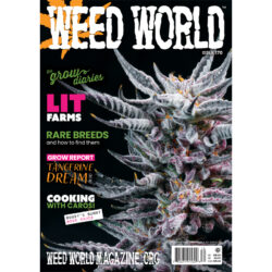 Latest Issue Weed World